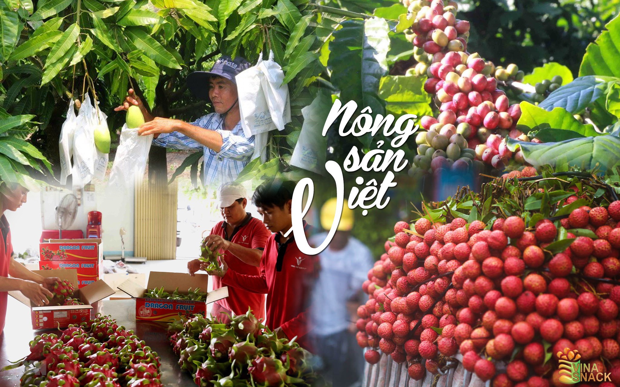 Nông sản Việt Nam
