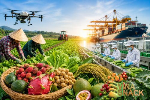 Nông sản Việt Nam đạt chuẩn quốc tế - VinaSnack.com