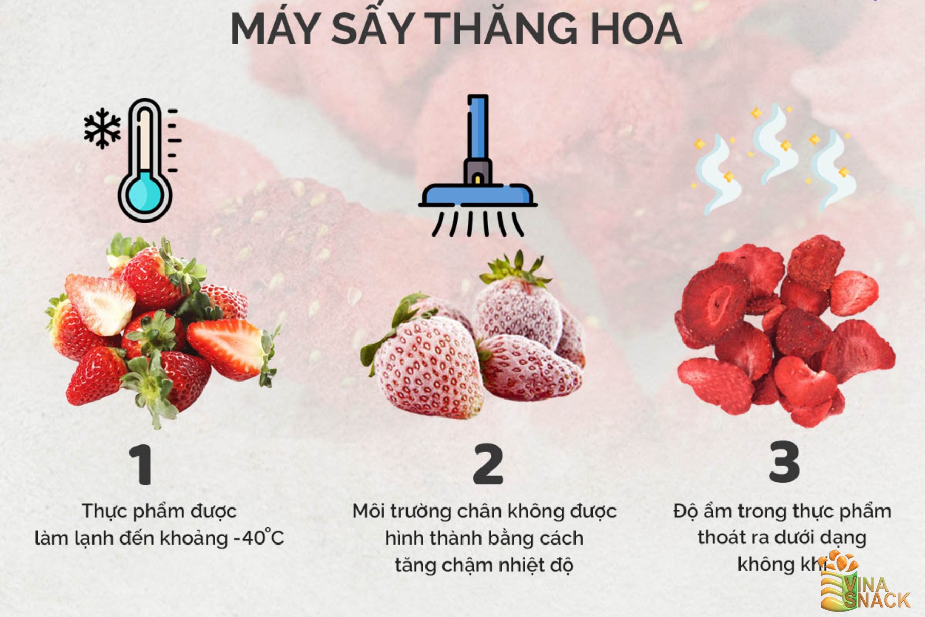Công nghệ sấy thăng hoa là gì? Bí quyết giữ trọn dinh dưỡng trái cây